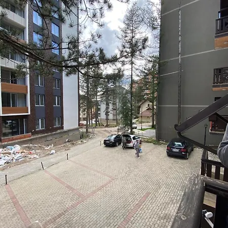 Rubin * Zlatibor